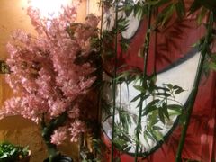 -可可大虾武汉土菜大排档(万松园1店)