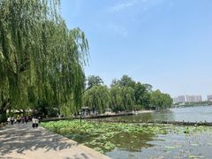-济南大明湖景区