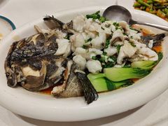 清蒸龙胆鱼-富黎华海鲜大酒楼(正大广场店)