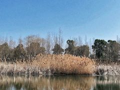 -养云安缦吧THE BAR