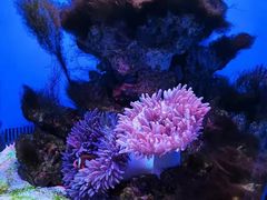 -多彩贵州城极地海洋世界