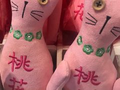 -猫咪博物馆(顶澳仔猫街店)