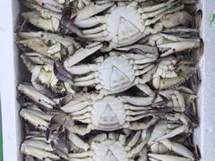 -沈阳水产批发市场