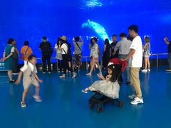 -泉城欧乐堡海洋极地世界