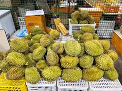 -新鸿港水果市场