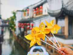 -百年同和·江南点心院(山塘街店)