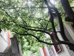 -老张烤羊(王哥庄店)