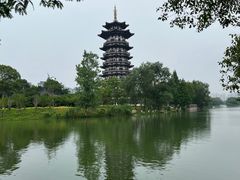 -洋湖国家湿地公园