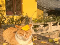 -无锡惠山寺