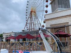 在这家餐厅吃了两顿-三亚海昌梦幻海洋不夜城