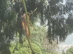 -金堂县云顶石城风景区