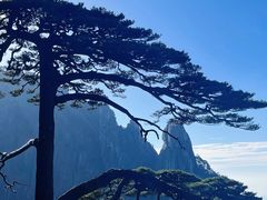 -黄山风景区