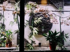 -小湾茶楼
