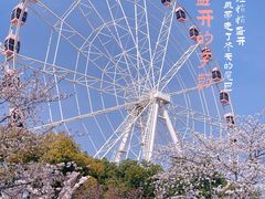 -顾村公园
