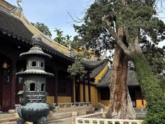 -句容茅山景区