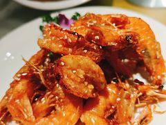 -新侨小馆(东直门北小街店)