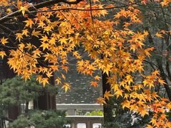 -南京东郊国宾馆