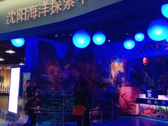 -沈阳海洋探索中心