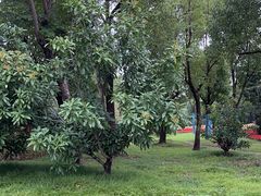 -狼山风景名胜区