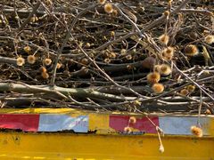 -西安手工软面(浦东南路店)