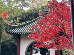 -中山公园