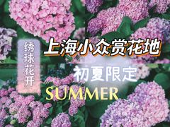 -区行政办公中心5号地块绿地-地下停车场
