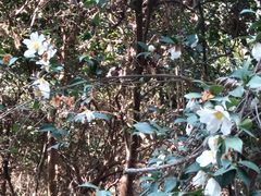 -敬亭山风景名胜区