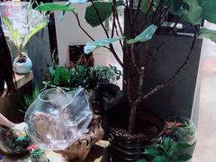 -谷莠子花艺气球派对·绿植造景·花艺沙龙(东海缤纷天地店)