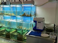 水产区-白仁仔· 活烤海鲜 宵夜(豫园店)