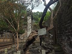 -昆明市金殿名胜区