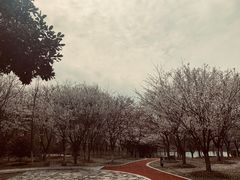 -江南大学(蠡湖校区)