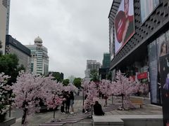 -大洋晶典(东街店)