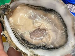 -普朗姆生蚝牛排馆 The Plump Oyster(成都摩方购物中心店)