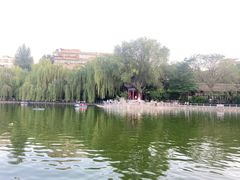 -莲湖公园