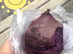 -西南交通大学(九里校区)