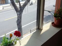 -自然风素食自助餐厅(黄河北路店)