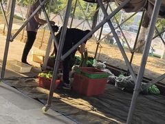 -六合居·明厨亮灶餐厅(成双大道店)