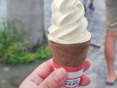 -富豪雪糕车流动点(尖沙咀店)