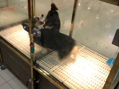 -乐宠宠物店(世纪金源店)