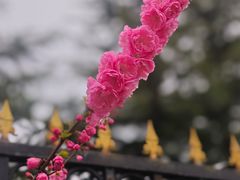 -丰台花园