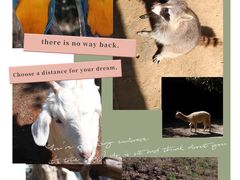 -杭州野生动物世界