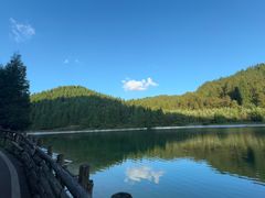 -武陵山森林公园