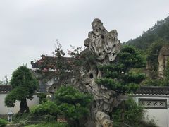 -老幺泉水鸡