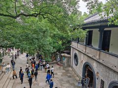 -溪口-滕头旅游景区