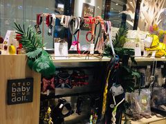 -momokira米努特·德文卷毛猫·棉花面纱犬