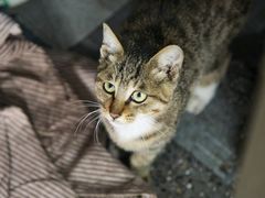 -老汪猪头肉春饼店