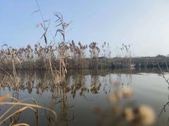 -春花秋色城市公园