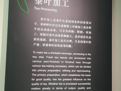 -中国茶叶博物馆(双峰馆区)