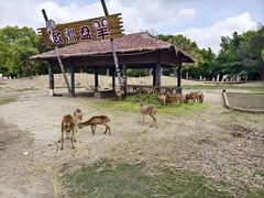 -常州淹城野生动物世界