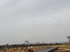 -盘龙城国家考古遗址公园